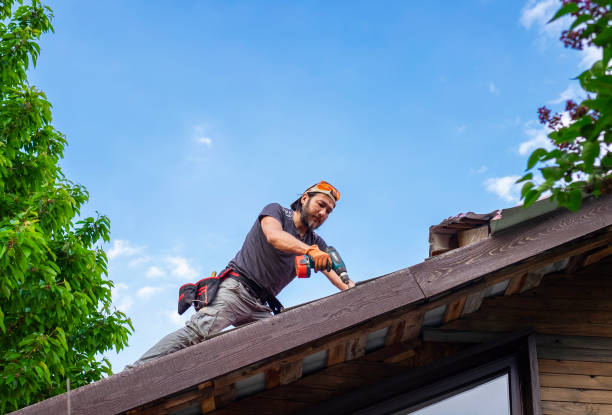 Best Roof Waterproofing  in Otsego, MI