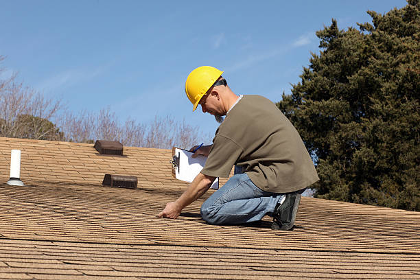 Best Asphalt Shingle Roofing  in Otsego, MI